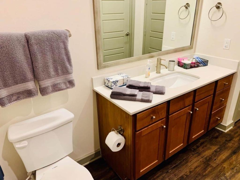 Downtown Apt Free Parking - Pool - Gym - Fully Kitchen Houston Exterior photo